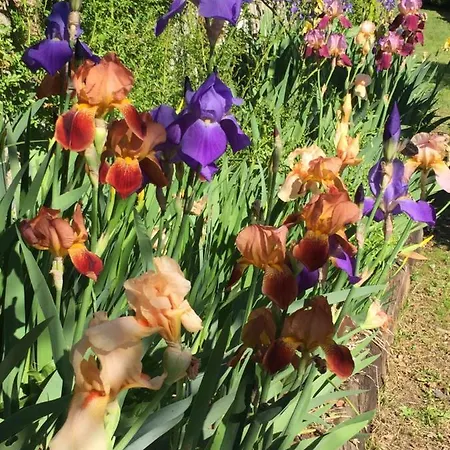 Bed & Breakfast Myvilla