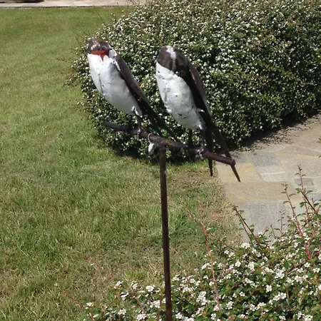 Myvilla Nocleg ze śniadaniem 4*