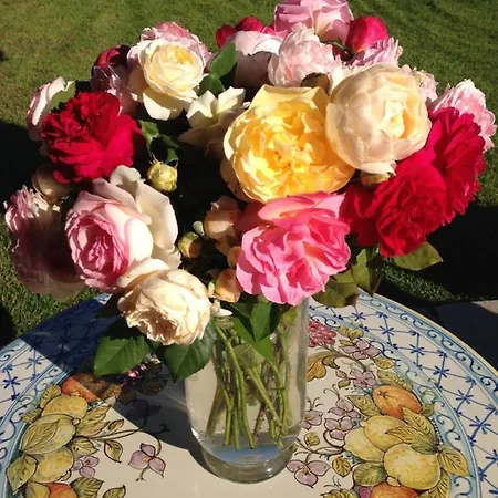 Myvilla 4* Palazzo Canavese