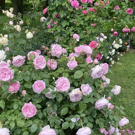 Myvilla Couette-café