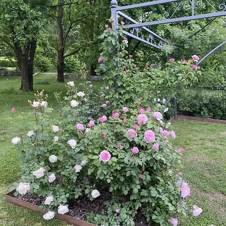 Nocleg ze śniadaniem Myvilla 4*