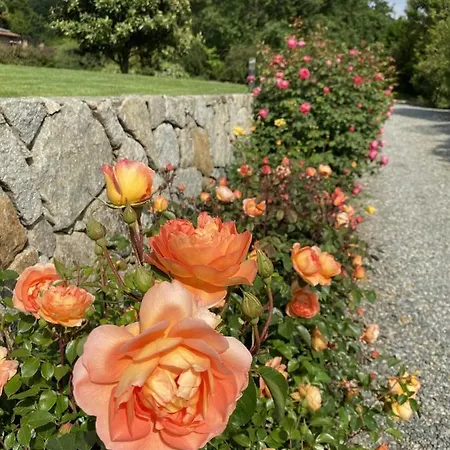 Myvilla Frühstückspension 4*