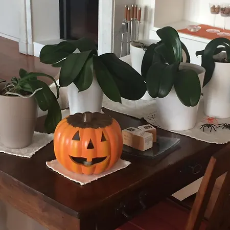 Bed & Breakfast Myvilla Palazzo Canavese